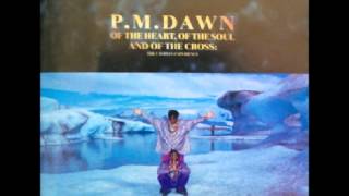 P.M. Dawn-In The Presence Of Mirrors
