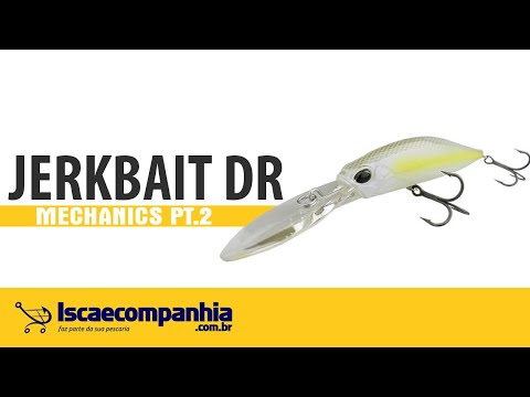 Vídeo Isca Duo Realis Jerkbait 100DR