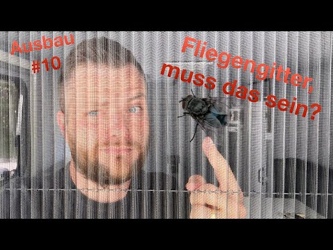 Camper Kofferanhänger Kastenanhänger mit Fliegengitter Plissee im Tomplan TFS360 - TreblaTube