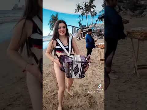 La canelera en Mazatlán🥰