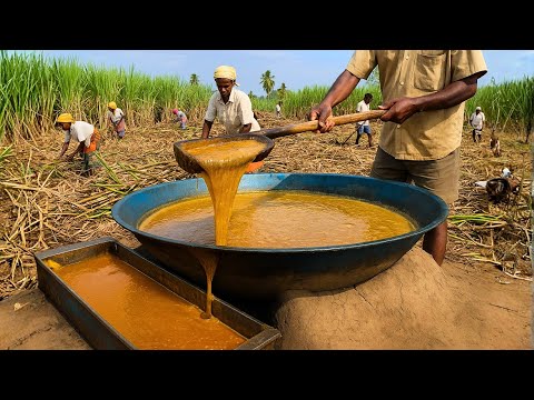 How Jaggery Is Made | Organic Sugarcane Harvest & Boiling Process in Village