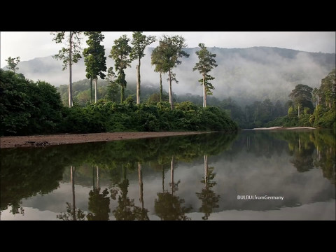 Kabhi To Tumko Yaad Aayegi.....!!!