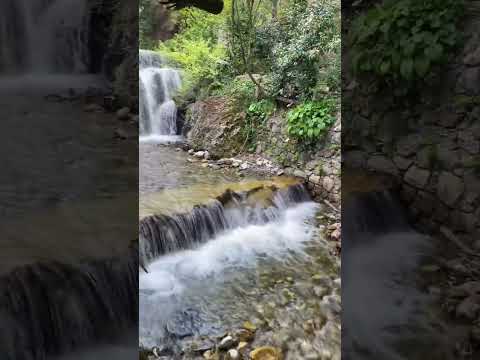 Maşukiye Şelalesi ve Gurme Restoranlar Kartepe Kocaeli