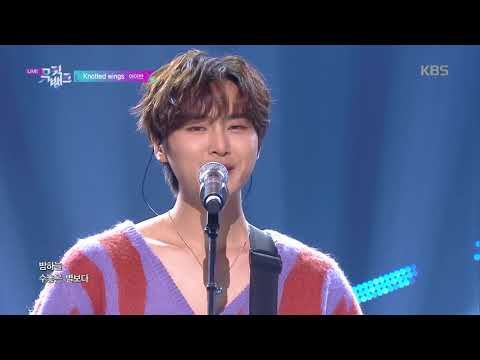 Knotted Wings - AIVAN(아이반) [뮤직뱅크 Music Bank] 20191115