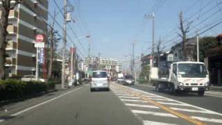 Driving Around Japan with Luke (Part 1)