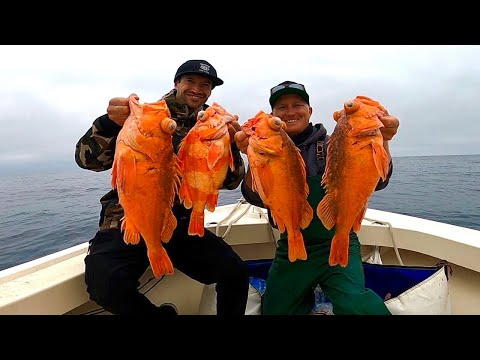 EPIC Catalina Island Rockfishing! (Catch, Clean and Cook)