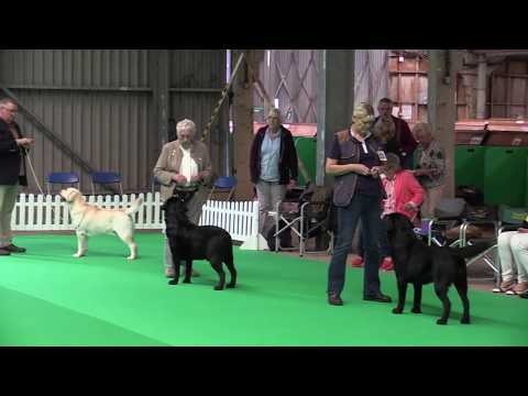 City of Birmingham 01/09/2019