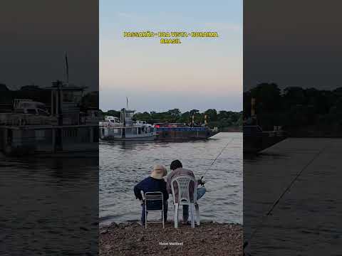 Passarão - Roraima - Amazônia - Brasil #shorts #video