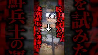 【北朝鮮】 命がけで韓国へ脱出した北朝鮮兵→体内から数十匹の『寄生虫』が発見された！？ #shorts
