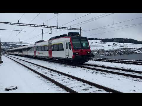 SBB S3 Luzern - Brunnen