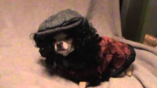 Funny Dog Costume - Mr Love Fro