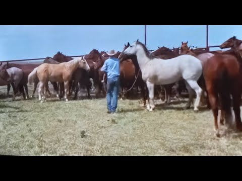 false christ comes first ... 1.1.25 ... GOD sent you a letter