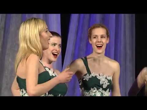 Ženska klapa Vidulice - Mili Bože nesritna san bila