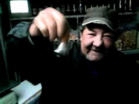 copilul nelegitim al lui  salam