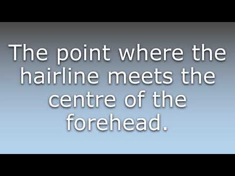 What does Trichion mean?