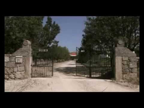 ポートワイン (Port Wine)