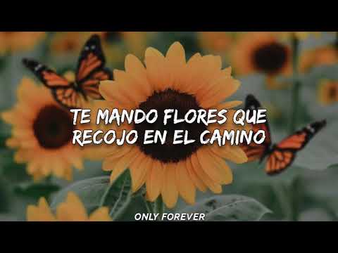 Fonseca - Te mando flores (Letra)