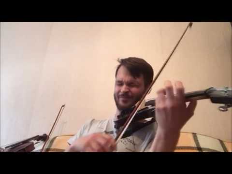 Metallica - The Days That Never Comes guitar solo violin cover