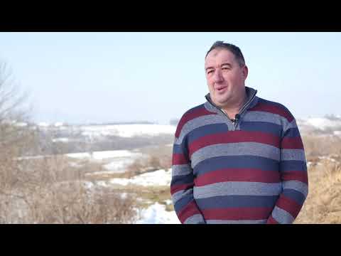 Naša priča ep. 233 06.02.2020. Mlečno govedarstvo, tov junadi, Goračići, Zoran Kostić