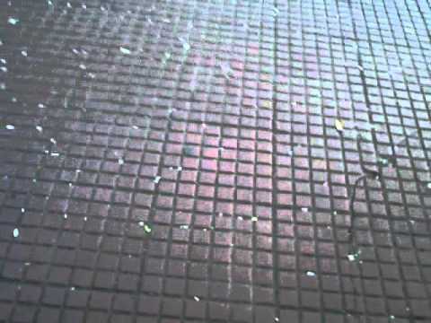 karol trans parada gay de são paulo dia 26 de junho 2011 patrulhamento da segurança GLBTS/SC/ONU