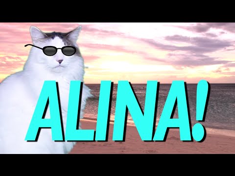 HAPPY BIRTHDAY ALINA! - EPIC CAT Happy Birthday Song