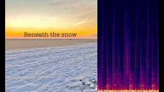 Beneath the snow