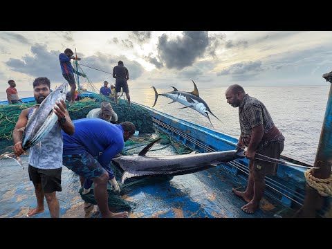 OMG!! The Eighth Day We Stayed In The Deep Sea And Caught A Lot Of Big Fishes | Day-08 | S07-EP08
