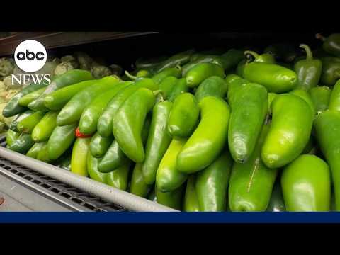 Major retailers pull products made with potentially contaminated jalapeños