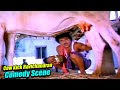 Cow Kicks Ravichandran Kannada Fans Can T Stop Laughing ರವಿಚಂದ್ರನ್ ಅವರ ಅ