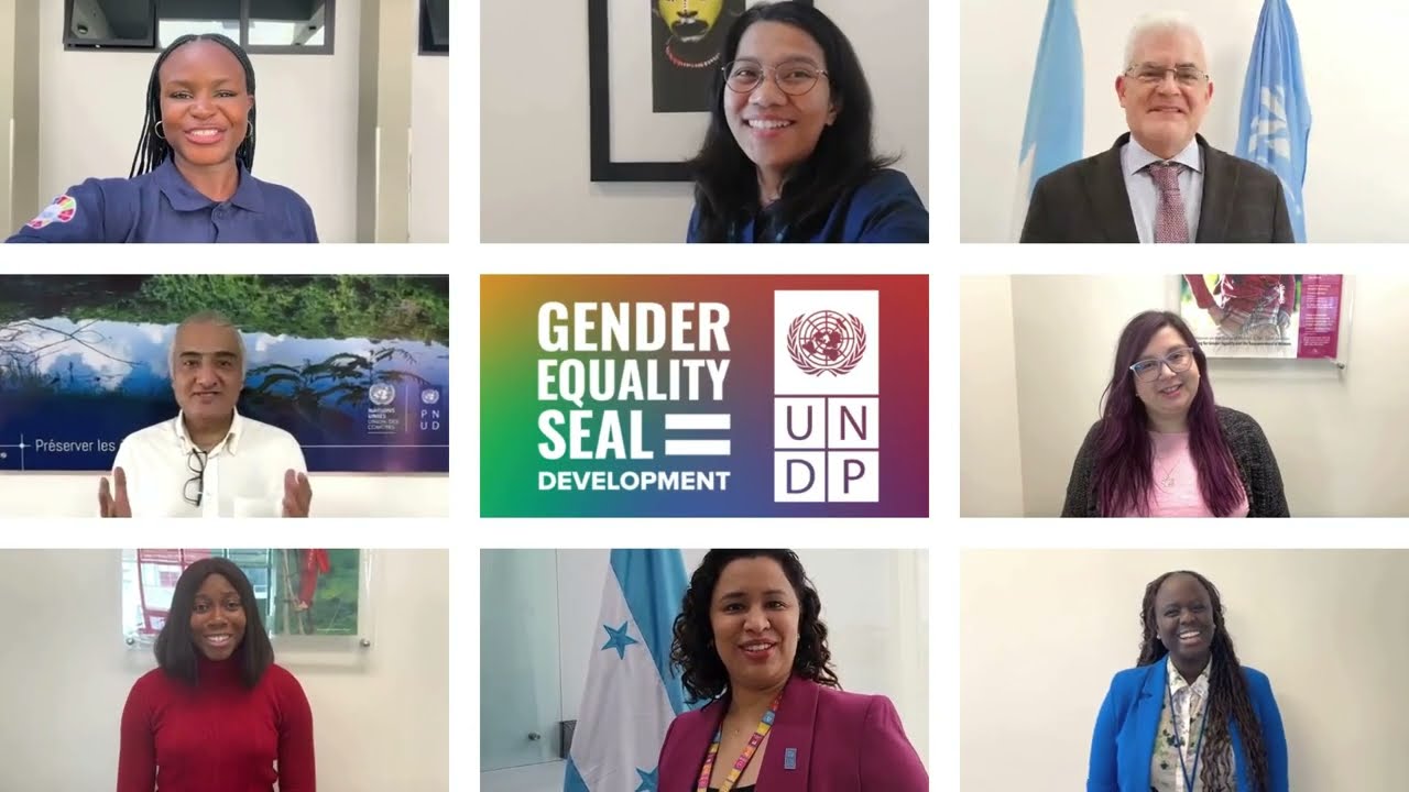 UNDP Gender Equality Seal for Development