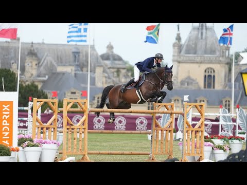 DIEGO DEL CARIBE, 2013 stallion by (Kannan x Quidam de Revel). sold in 2014 to 🇫🇷