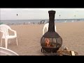 When Seagulls Attack Cedar Point Beach Lake Erie