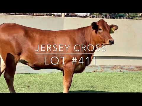 Auction Lot #411: Jersey Cross