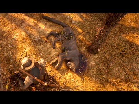 Red Dead Redemption 2 #117 | Der legendäre Puma