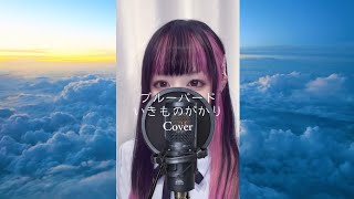 ブルーバード / いきものがかり｜BlueBird｜Cover #カバー曲 #歌ってみた #guitar 
