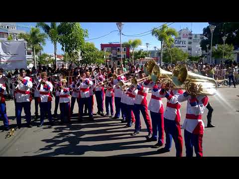 LEÕES DA BAHIA EM SANTO ANTÓNIO DE JESUS - BA PELA ACBFFB - BA 2017