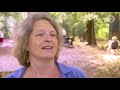 Bijzonder! Een kerkdienst verscholen in de bossen - Onze Veluwe