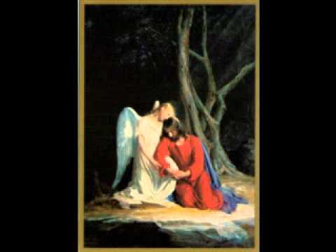 A.Taliento singing "Adora en silencio" by F.Nazzaro