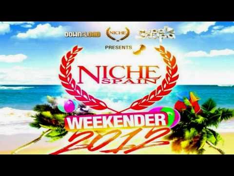Niche Allnighter - New Years Eve 2011 - CD 2 - DJ Q - Track 4