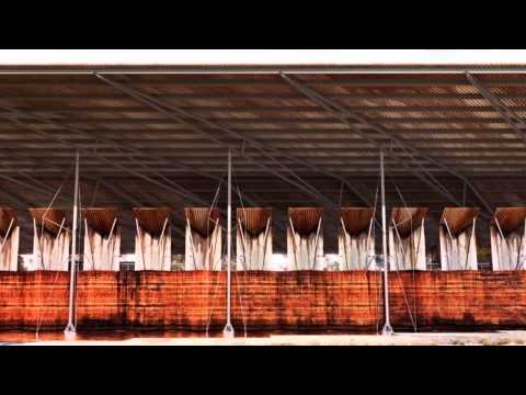 Silver City Museum by Glenn Murcutt