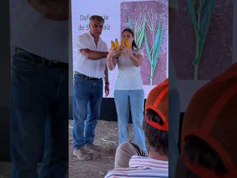 Corteva – Brevant en Alcira Gigena - Córdoba