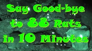 #21 - Say Good-Bye to 88 rats in 10 minutes - Shot with Benjamin Woods Walker