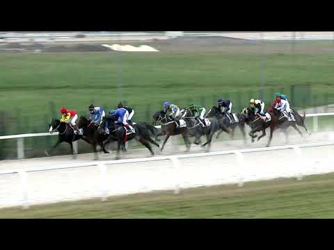 2020.11.15. 04. futam - ADÉL HENDIKEP (IV.o.) (szintetikus pálya)