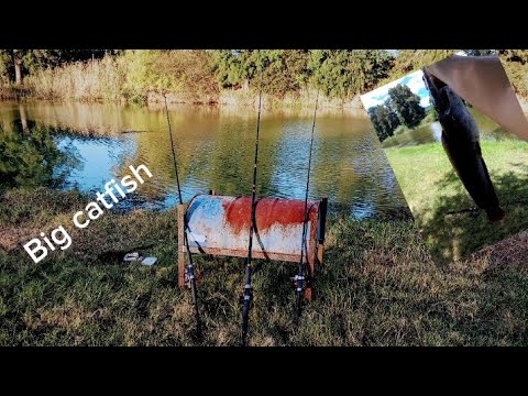 Catching big catfish in Patensie South-Africa