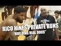 Paul George, Patrick Beverley, Pascal Siakam & MORE Compete at Rico Hines Runs