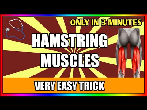 Hamstring Muscles |Lower Limb|