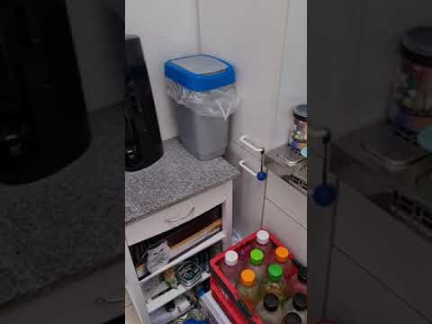 Giuliana Cats Video 2