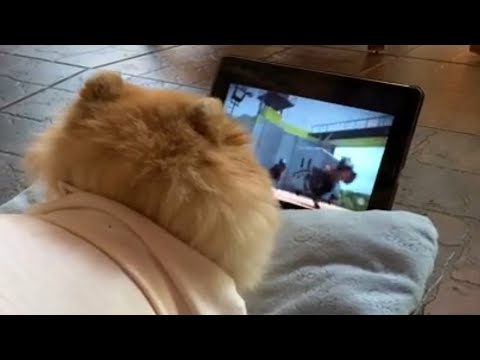 UNUSUAL MEMES COMPILATION V126 - YouTube