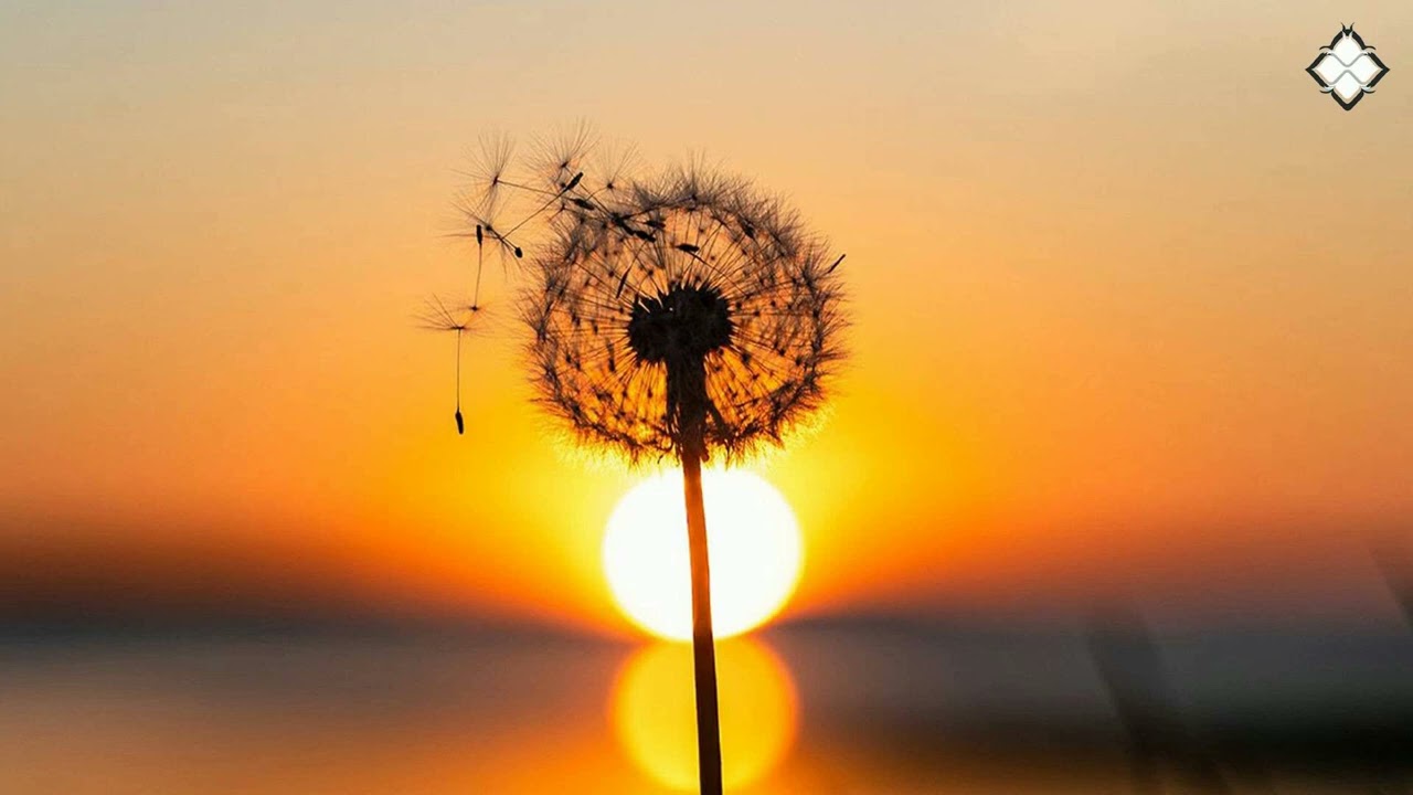 Fluid Form - Star Crossed Lovers