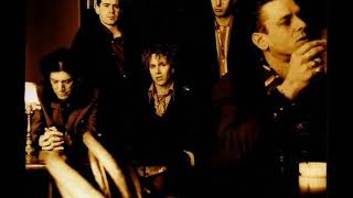 COUSTEAU - have you seen her